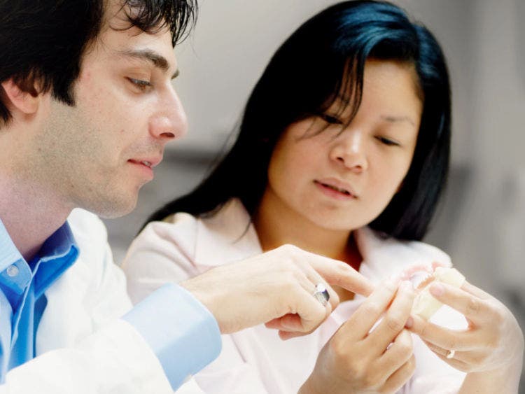 Dental professionals in endodontics training session with hands-on instruction