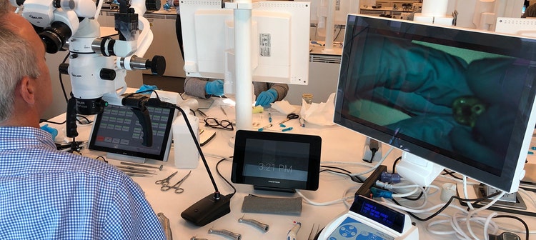Dispositif de formation en endodontie avec microscope, écrans et équipement dentaire pour l'enseignement clinique